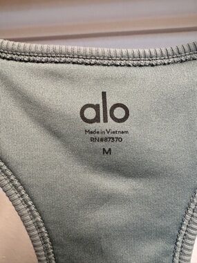 Alo Seamless Scoop Sports Top in Light Sage